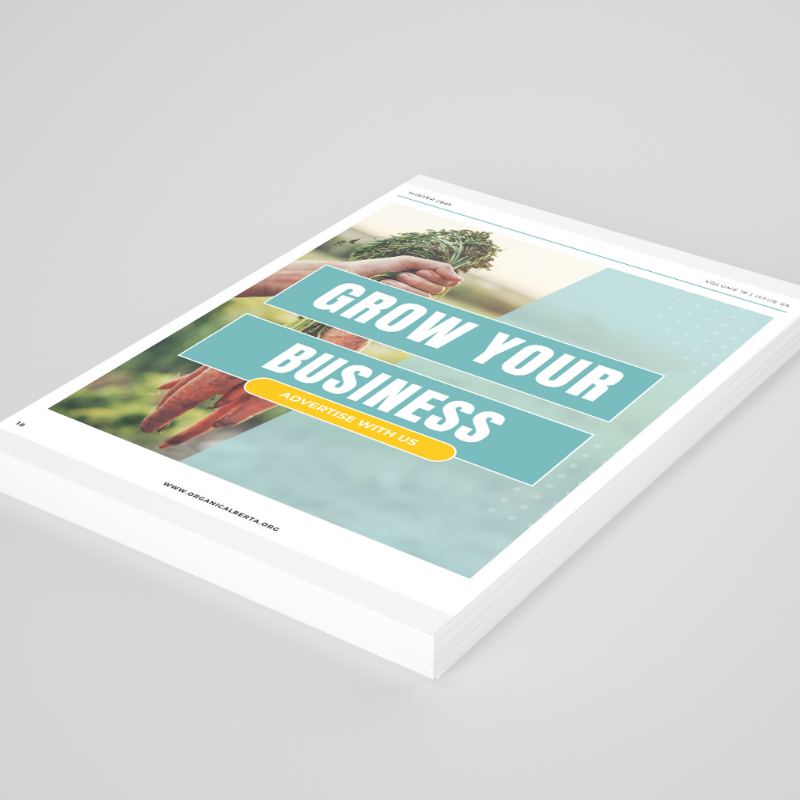 Full Page (Inside) Ad