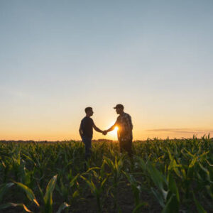 Corporate Membership - Plus