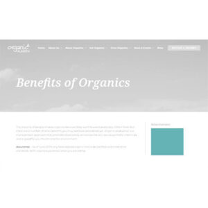 Rectangle Banner Ad
