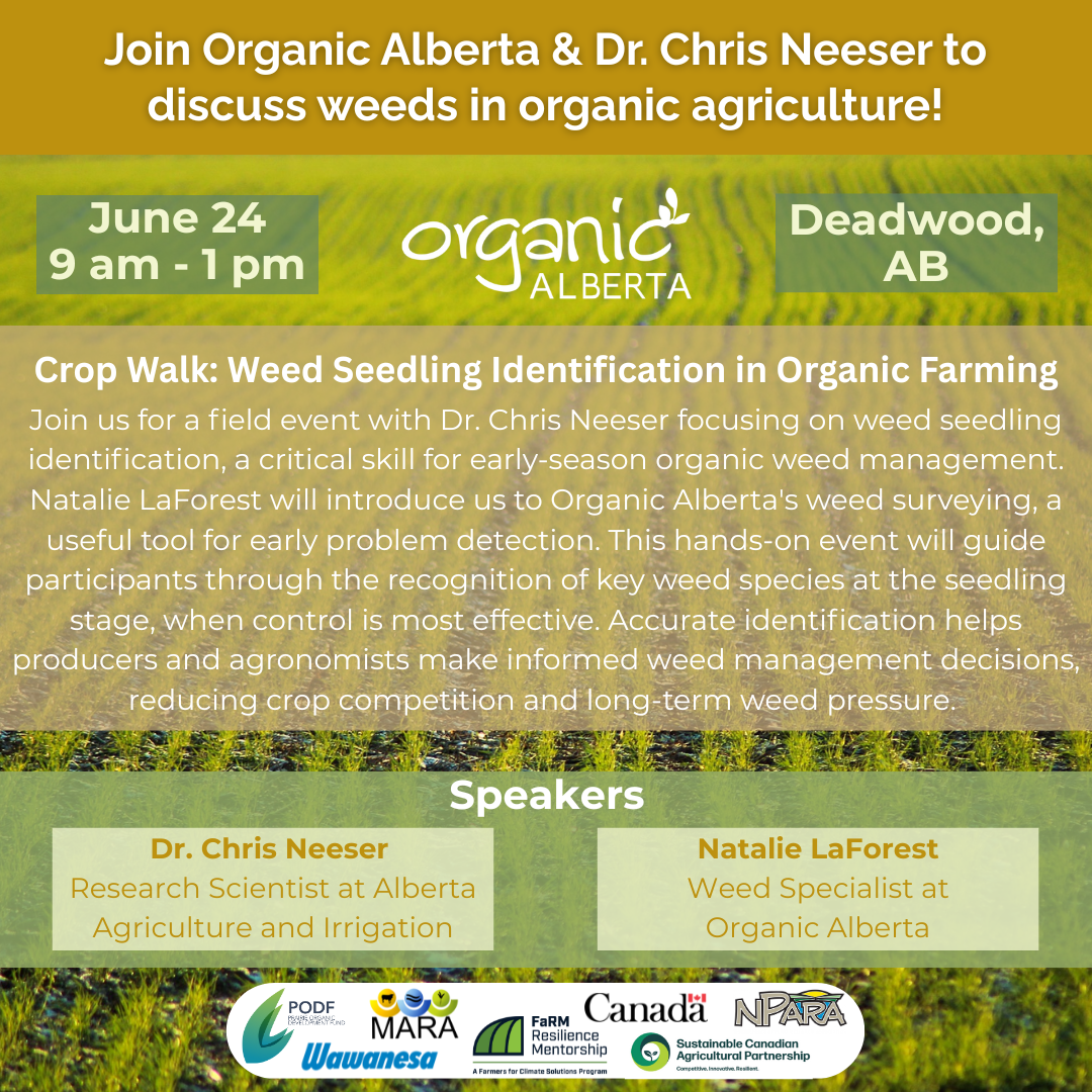 Deadwood Crop Walk: Weed Seedling Identification in Organic Farming