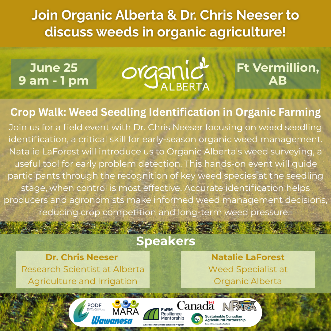 Ft Vermillion Crop Walk: Weed Seedling Identification in Organic Farming