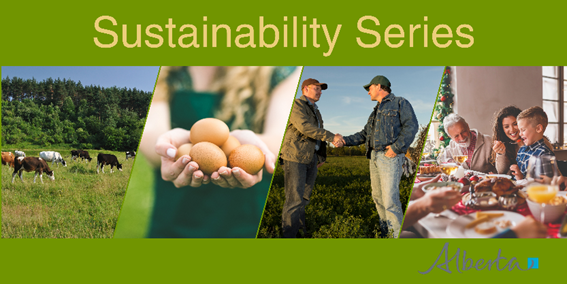 Sustainability Series Webinar