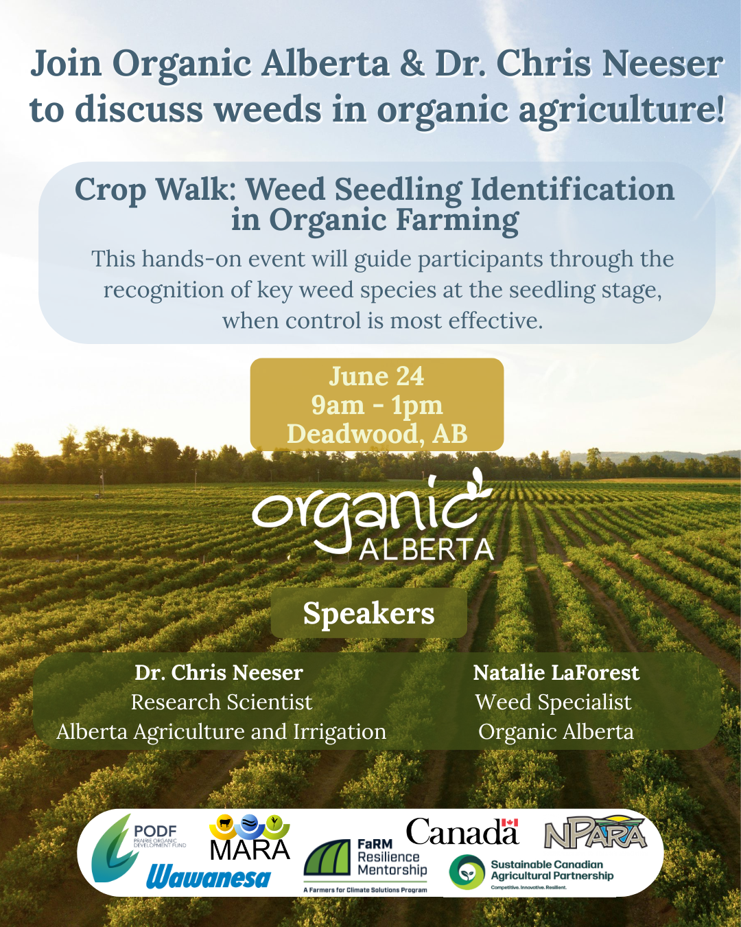 Deadwood Crop Walk: Weed Seedling Identification in Organic Farming