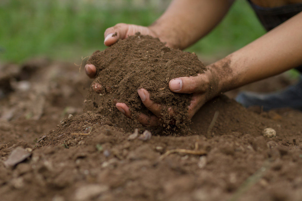 Alberta Soil Science Workshop