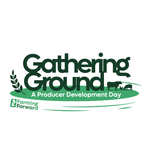 Gathering Ground - A Producer Development Day