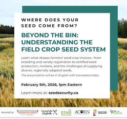 Beyond the Bin: Understanding the Field Crop Seed System - Bauta Family Initiative on Canadian Seed Security