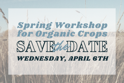 spring workshop